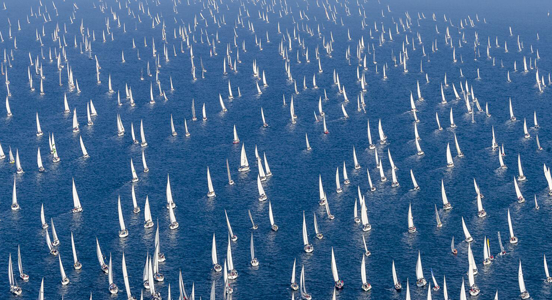 barcolana the edge silvia cutuli