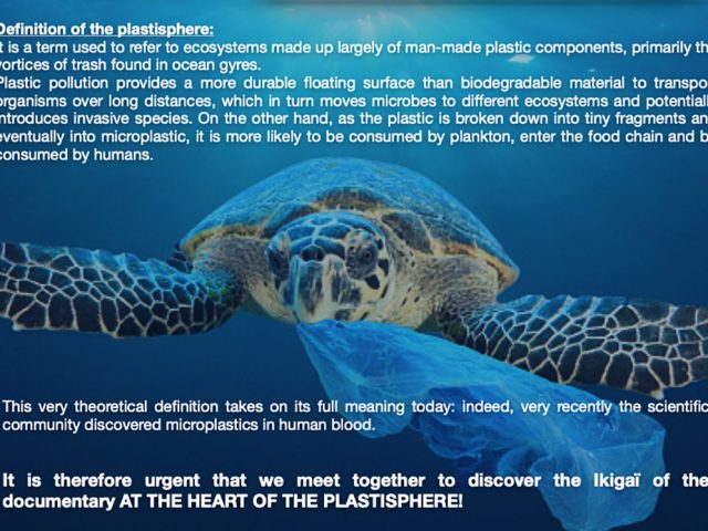 AT THE HEART OF THE PLASTISPHERE