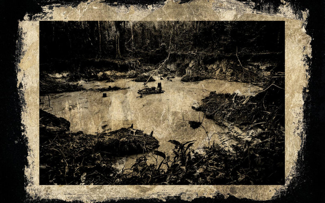Bastien Deschamps – The Emerald Forest